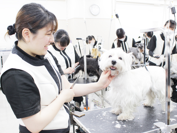☆２年生のトリミング実習☆